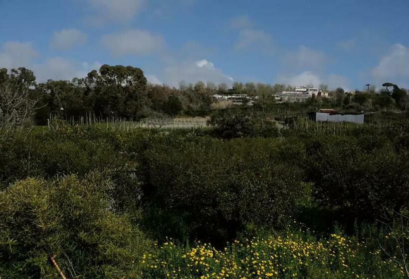 تختخواب و صبحانه Lemontree House Bacoli