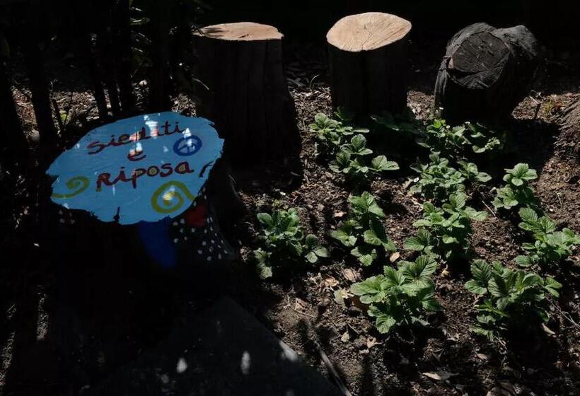 تختخواب و صبحانه Lemontree House Bacoli