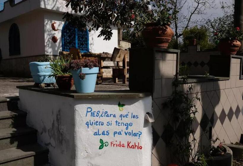 تختخواب و صبحانه Lemontree House Bacoli