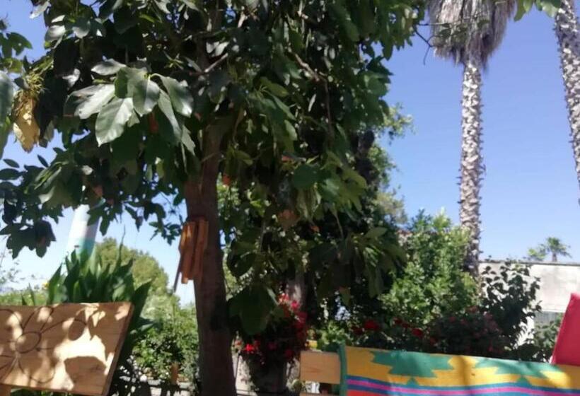 تختخواب و صبحانه Lemontree House Bacoli