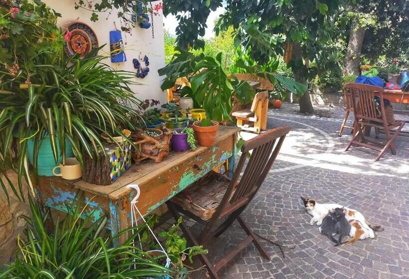 تختخواب و صبحانه Lemontree House Bacoli