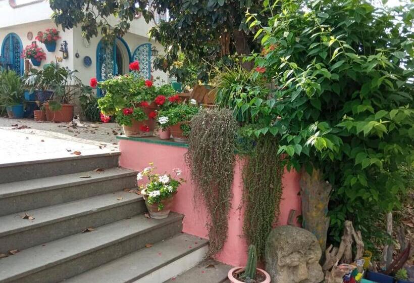 تختخواب و صبحانه Lemontree House Bacoli