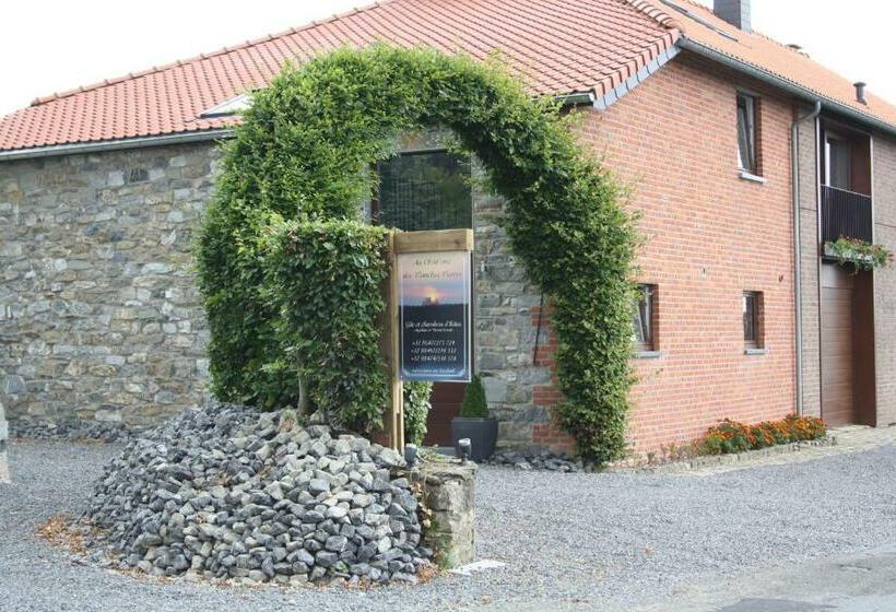 펜션 Au Chat Rme Des Blanches Pierres