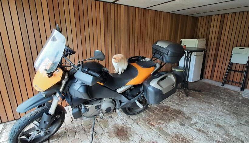 펜션 Au Chat Rme Des Blanches Pierres