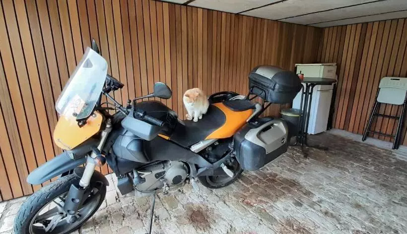 ペンション Au Chat Rme Des Blanches Pierres