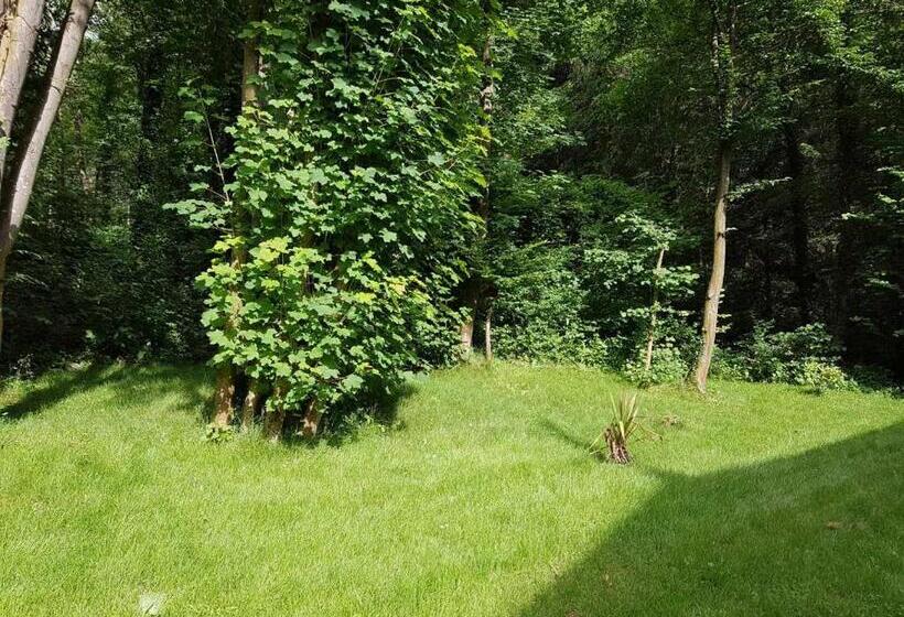 بنسيون Panamá Selva Backpacker