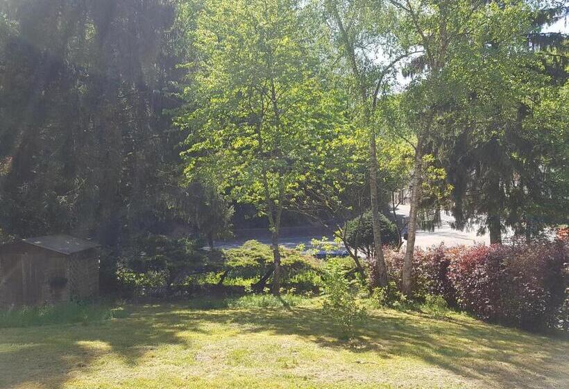 بنسيون Panamá Selva Backpacker