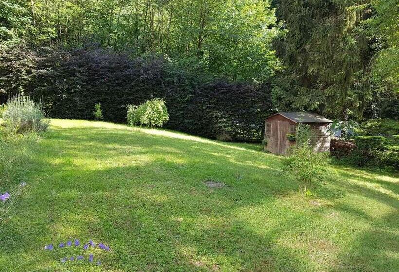 بنسيون Panamá Selva Backpacker