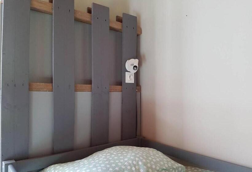 بنسيون Panamá Selva Backpacker