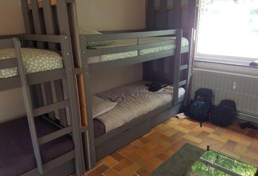 بنسيون Panamá Selva Backpacker