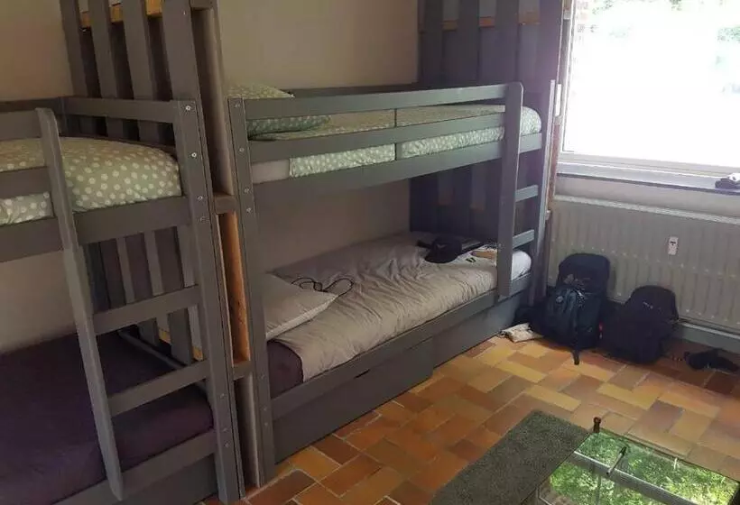 Pensione Panamá Selva Backpacker