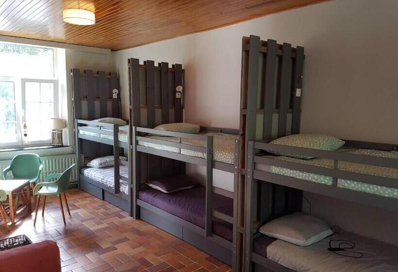 بنسيون Panamá Selva Backpacker