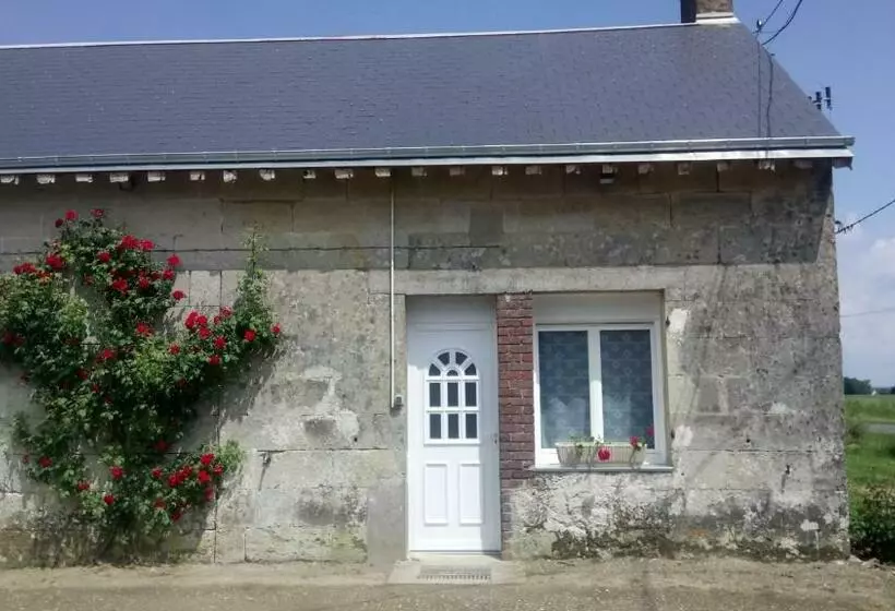 Aamiaismajoitus (B&B) Bellevue