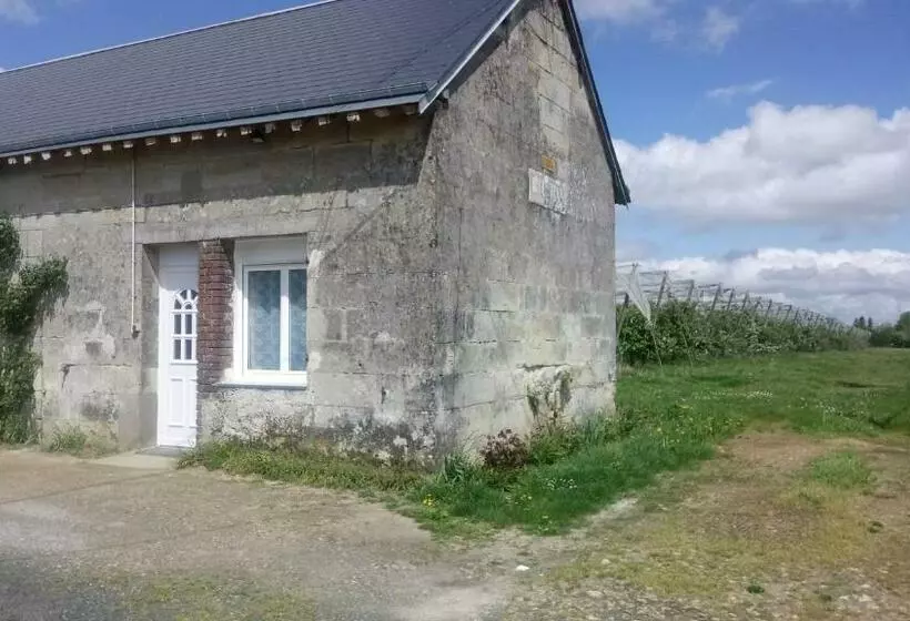 Aamiaismajoitus (B&B) Bellevue