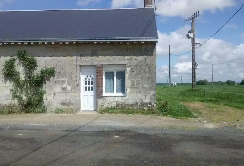 Aamiaismajoitus (B&B) Bellevue