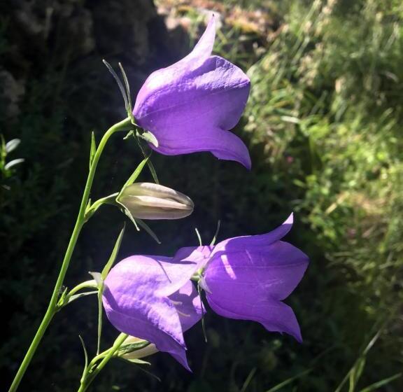 مبيت وإفطار Chambre D Hotes Sandra