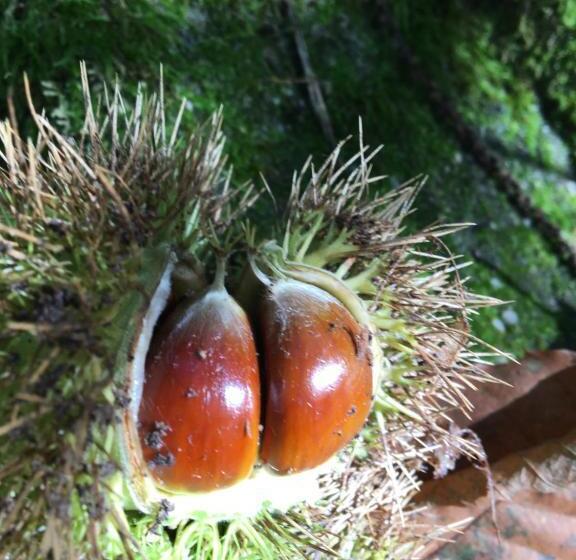 مبيت وإفطار Chambre D Hotes Sandra