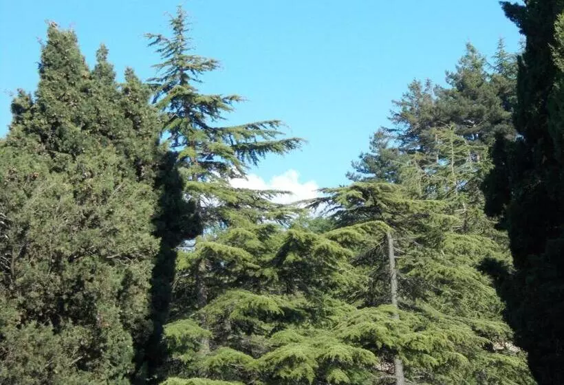 Aamiaismajoitus (B&B) La Vecchia Locanda