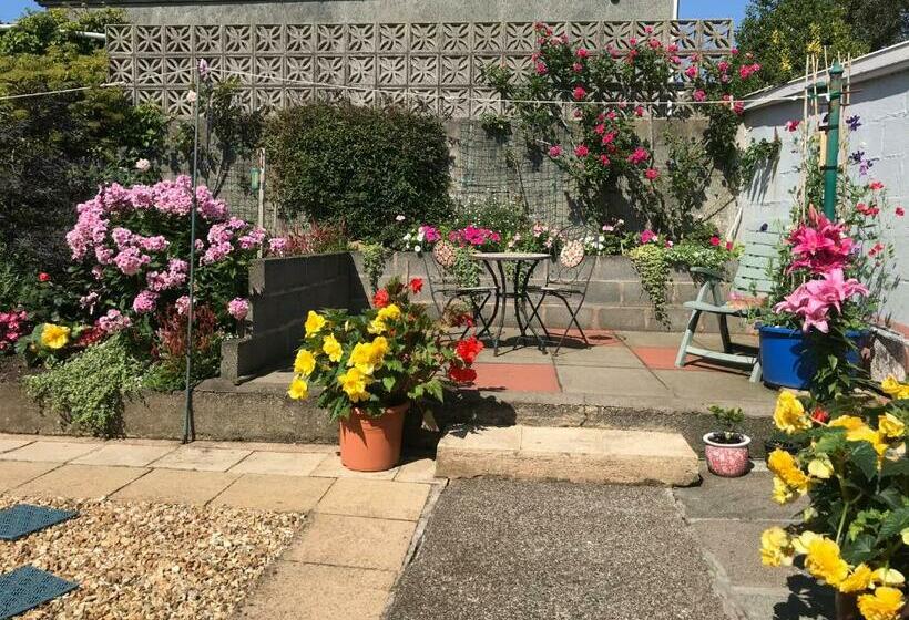 住宿加早餐  The Haven