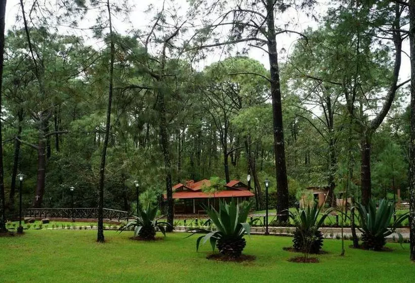 ホテル Rincón Del Bosque