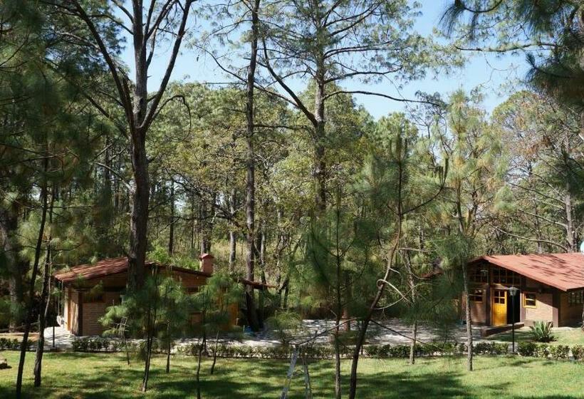 בית מלון כפרי Rincón Del Bosque