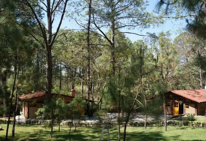 ホテル Rincón Del Bosque