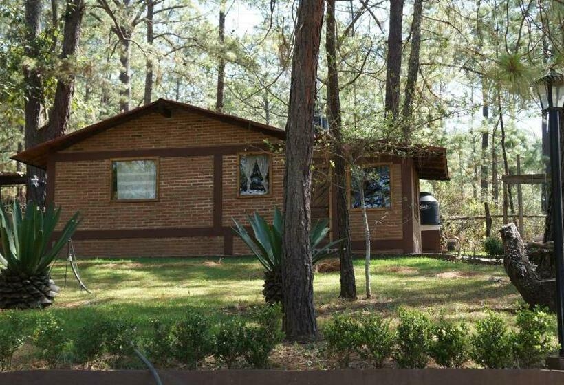 בית מלון כפרי Rincón Del Bosque