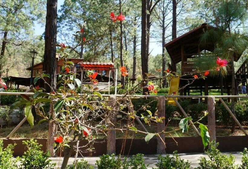 בית מלון כפרי Rincón Del Bosque