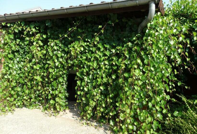 פנסיון La Grange Du Verger