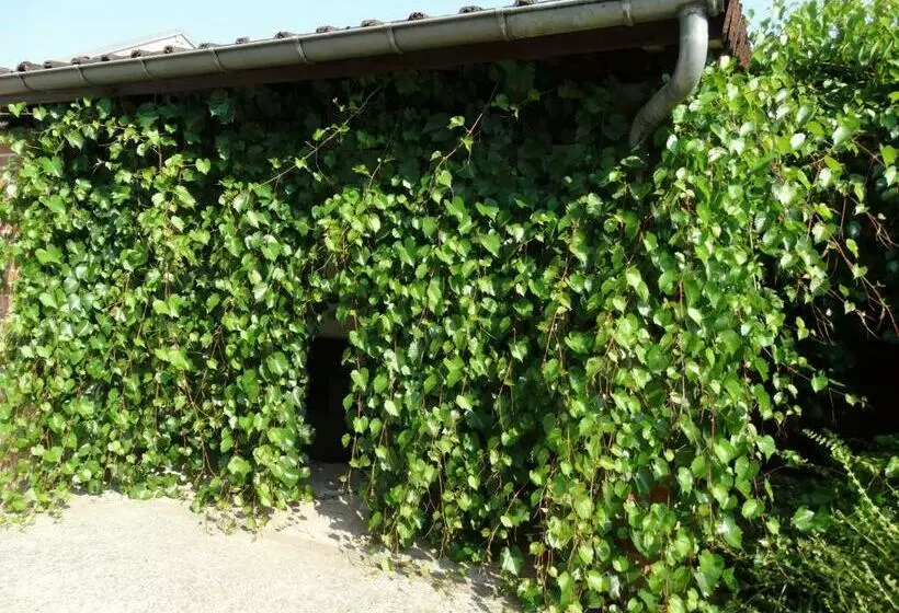 ペンション La Grange Du Verger