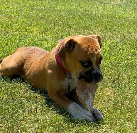 ペンション Le Prieuré