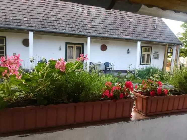 ペンション Teréz Háza