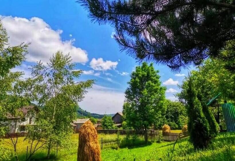 Pensiunea Cristiana Bucovina