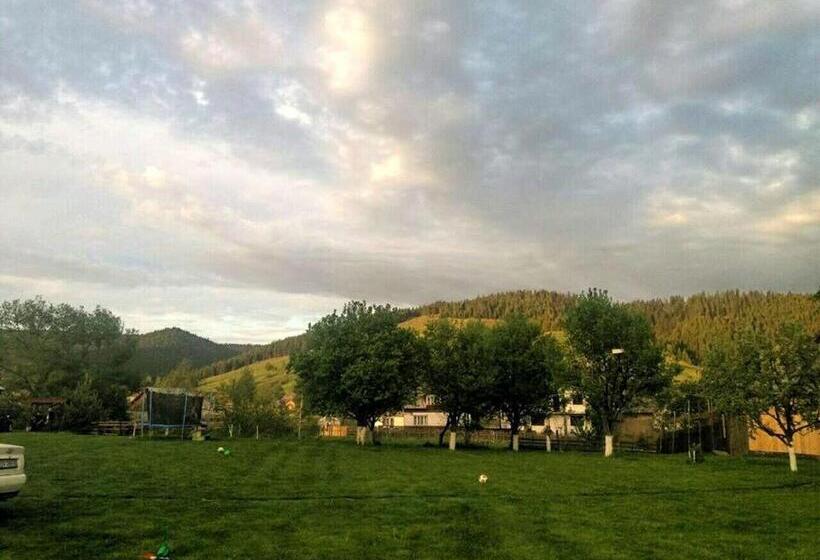 Pensiunea Cristiana Bucovina