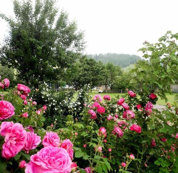 Pensiunea Cristiana Bucovina