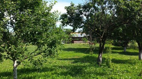 Pensiunea Cristiana Bucovina