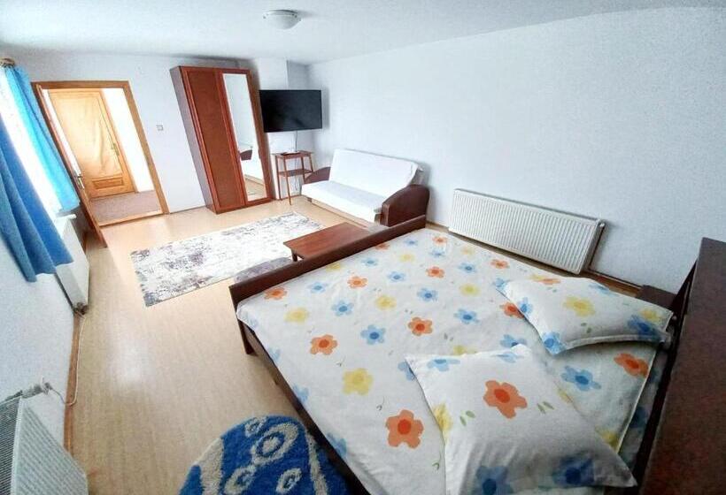 Pensiunea Cristiana Bucovina