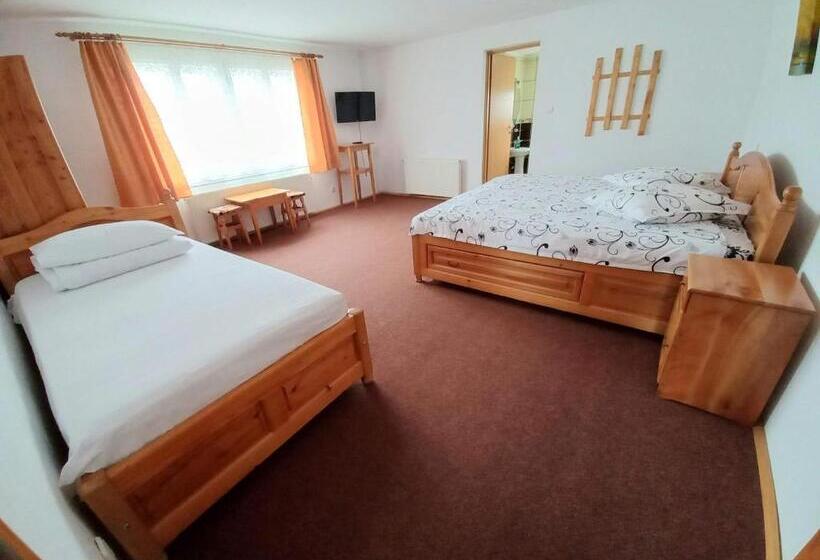 Pensiunea Cristiana Bucovina