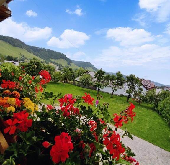 Pensiunea Cristiana Bucovina