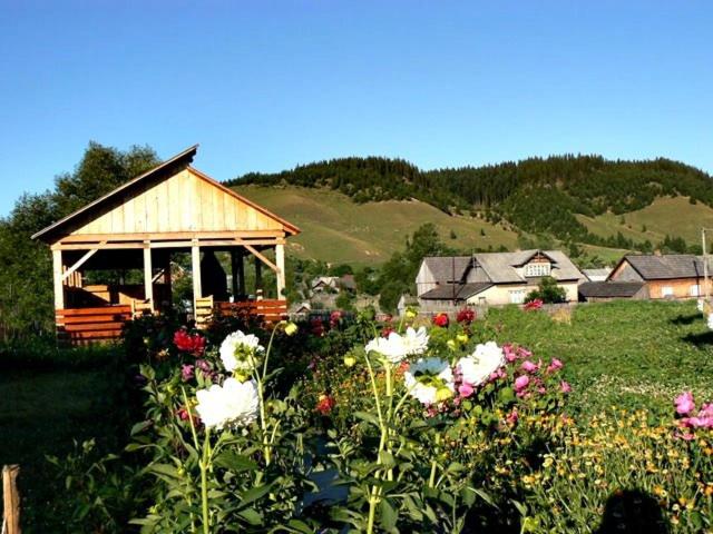 Pensiunea Cristiana Bucovina