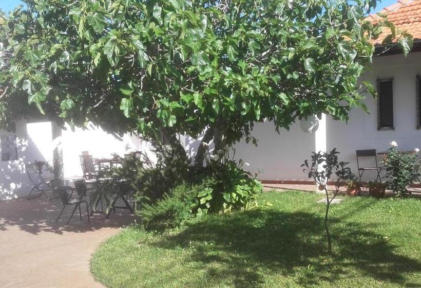 تختخواب و صبحانه Casa Dos Pingos De Mel