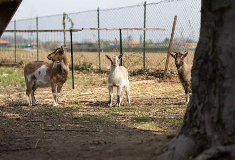 ベッドアンドブレックファースト Cascina Cattabreghetta