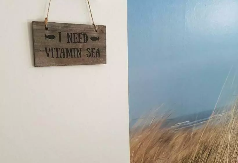 تختخواب و صبحانه Duin En Zee Texel