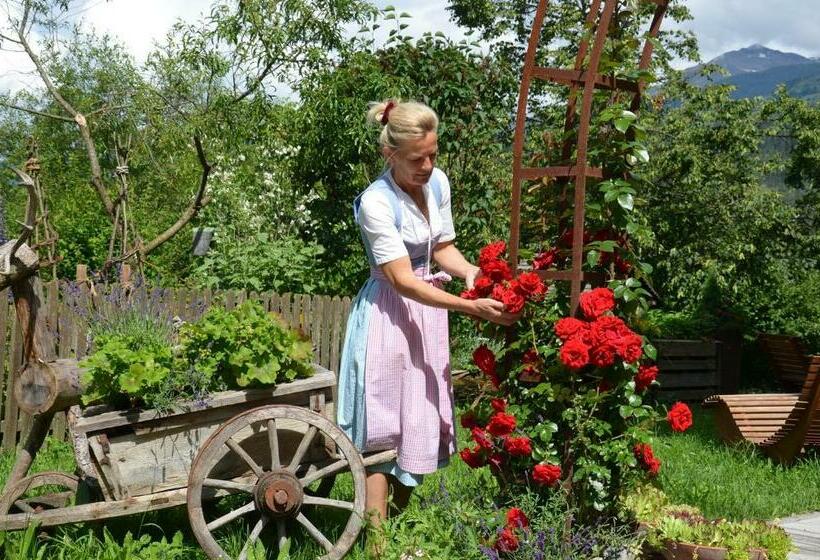 ベッドアンドブレックファースト Falkenau