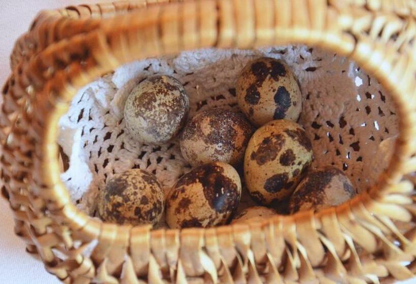 ベッドアンドブレックファースト Falkenau