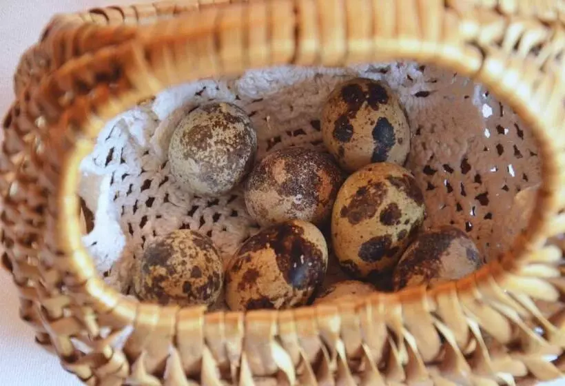 Aamiaismajoitus (B&B) Falkenau