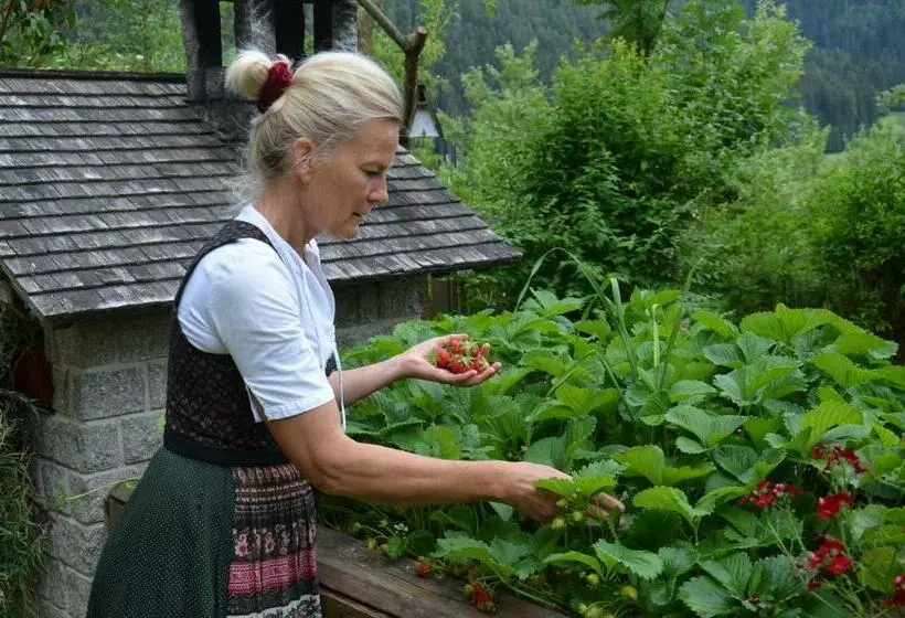 Aamiaismajoitus (B&B) Falkenau