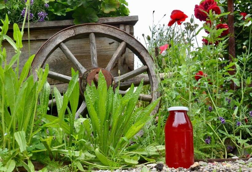 ベッドアンドブレックファースト Falkenau