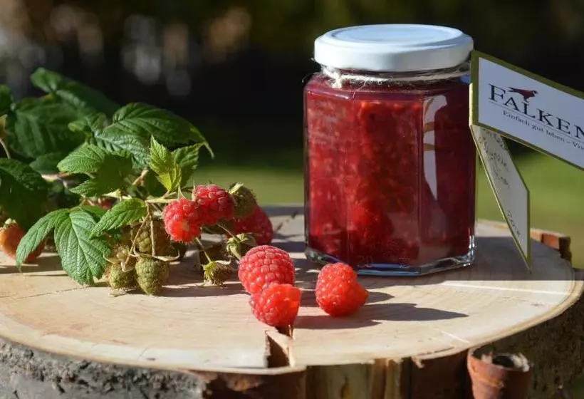 Aamiaismajoitus (B&B) Falkenau