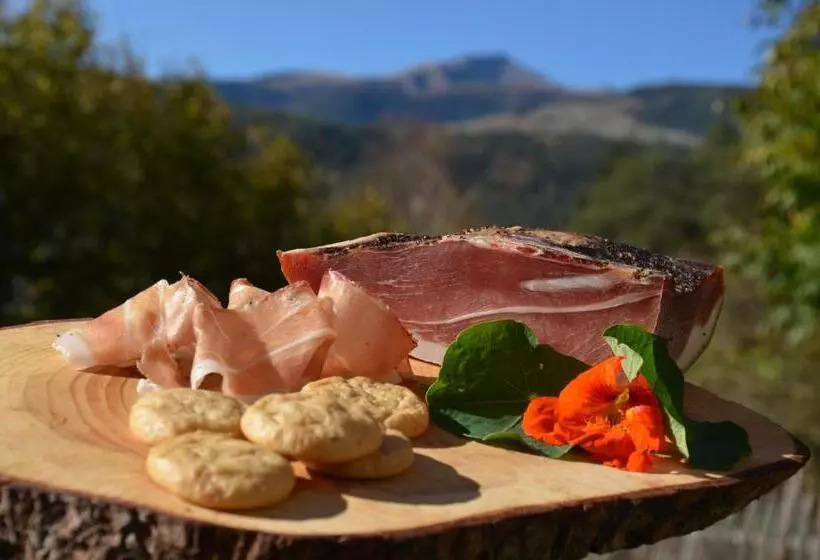 Aamiaismajoitus (B&B) Falkenau